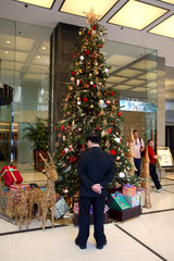 Hong Kong  ein Mann sieht sich einen geschmueckten Weihnachtsbaum an