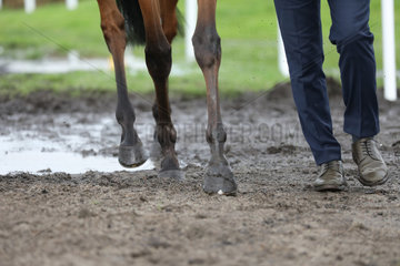 Hamburg  Pferde- und Menschenbeine laufen ueber matschigen Boden
