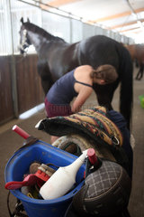 Oberoderwitz  Symbolfoto  junge Frau putzt ihr Pferd auf der Stallgasse