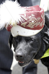 Royal Ascot  Fashion  dog with hat at the racecourse