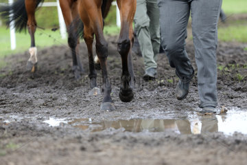 Hamburg  Pferde- und Menschenbeine laufen ueber matschigen Boden
