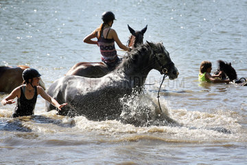 Oberoderwitz  Pferd ist beim Baden im See reiterlos geworden