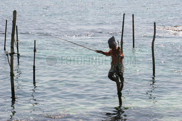 Koggala  Sri Lanka  ein Stockfischer beim Angeln