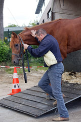 Hamburg  Trainer Pavel Vovcenko laedt ein Pferd aus dem Haenger aus