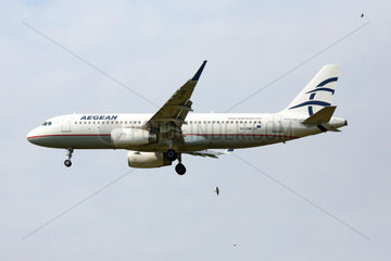 Langenhagen  Deutschland  Voegel fliegen neben einem A320 der Fluggesellschaft Aegean Airlines