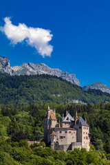 FRANCE - FRENCH ALPS CASTLE