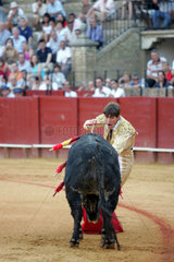 Sevilla  Spanien  Alberto Lamelas waehrend eines Stierkampfes