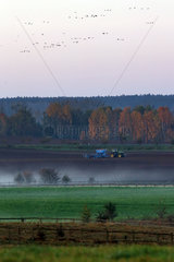 Goerlsdorf  Deutschland  Traktor am Morgen auf einem Feld in der Uckermark