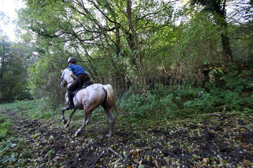 Zernikow  Frau reitet auf ihrem Pferd im Galopp durch einen Wald
