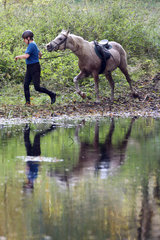 Zernikow  Reiterin fuehrt ihr Pferd im Laufschritt einen See entlang