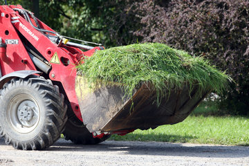 Gestuet Goerlsdorf  frisch gemaehtes Gras wird in einer Baggerschaufel transportiert