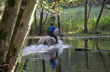 Zernikow  Frau reitet auf ihrem Pferd durch einen See