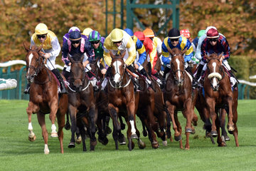 Chantilly  Frankreich  Pferde und Jockeys waehrend eines Galopprennens