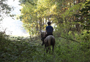 Zernikow  Frau reitet auf ihrem Pferd im Schritt durch einen Wald