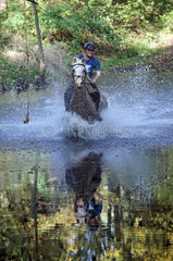 Zernikow  Frau reitet auf ihrem Pferd im Galopp durch einen See