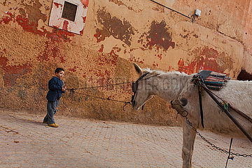 Street scene - Marrakesh