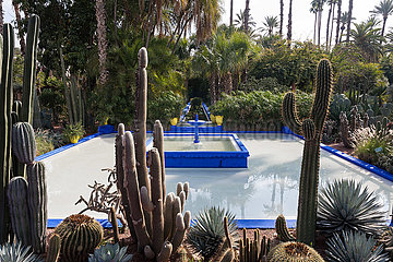 Fountain in Majorelle Gardens - Marrakesh