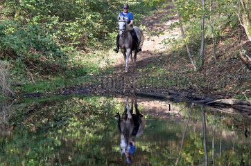 Zernikow  Frau reitet auf ihrem Pferd im Galopp auf einen See zu