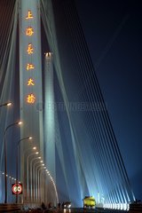 China  Yantze Bruecke in Shanghai
