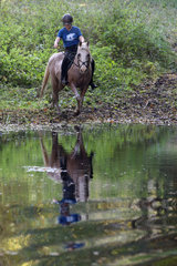 Zernikow  Frau reitet auf ihrem Pferd in einen See