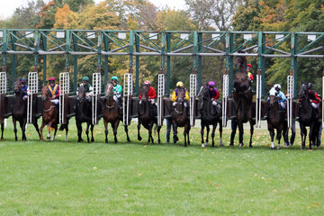 Dresden  Pferde und Jockeys beim Start. Fritz (Dritter von rechts) stoesst sich dabei den Kopf an der Startmaschine