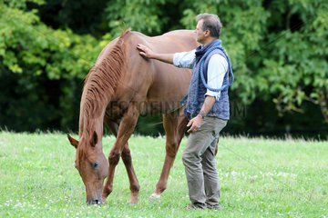 Gestuet Westerberg  Mann streichelt sein Pferd auf der Weide