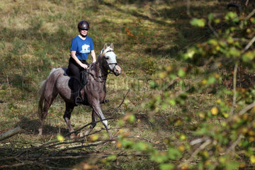 Zernikow  Frau reitet auf ihrem Pferd im Trab durch einen Wald