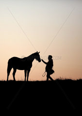 Gestuet Goerlsdorf  Silhouette  Mann geht bei Morgendaemmerung auf einer Weide auf ein Pferd zu