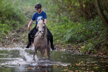 Zernikow  Frau reitet auf ihrem Pferd durch einen See
