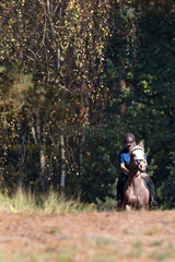 Zernikow  Frau reitet auf ihrem Pferd im Trab durch einen Wald