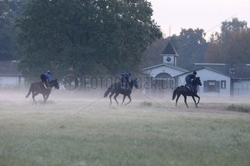 Hoppegarten  Pferde und Reiter bei der Morgenarbeit im Nebel