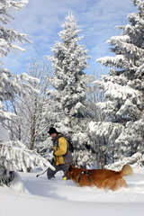Schierke  Deutschland  Frau mit ihrem Hund im Winter bei einen Spaziergang im Harz