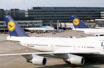 Flugzeuge der Lufthansa auf dem Flughafen Frankfurt/Main