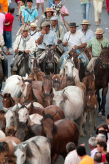Almonte  Spanien  Saca de las yeguas - Reiter treiben eine Herde durch die Stadt