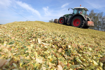 Hamm  Deutschland  Traktor verdichtet die Maissilage