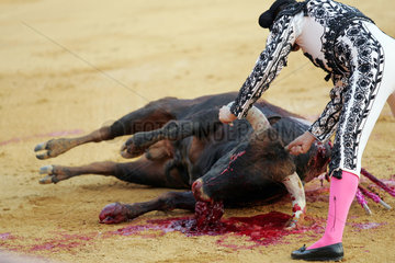 Sevilla  Spanien  Assistent gibt dem Stier einen Gnadenstoss