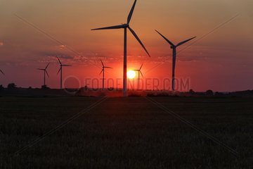 Windpark im Sonnenuntergang