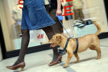Berlin  Deutschland  Einkaufsbummel mit Hund im Einkaufszentrum