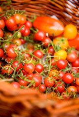 Riedlingen  Tomaten auf einem Bauernmarkt