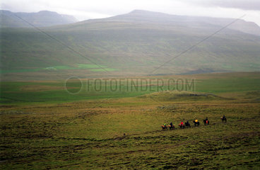 Varmahlid  Reiter auf Island-Pferden