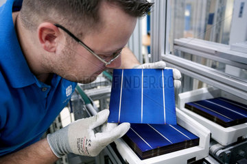 Conergy Solarmodule