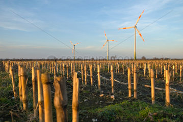 Schwesing  Deutschland  der Windpark mit Anlagen des Typs REpower MM82