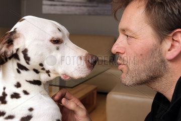 Maasbuell  Deutschland  ein Hundeosteopath nimmt Kontakt zu einem braunen Dalmatiner auf