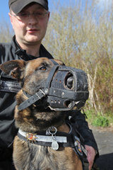 Eggebek  Deutschland  Training von Polizeihunden