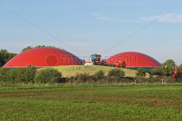 Dollerup  Deutschland  Maisernte und Biogasproduktion