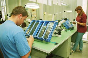 Rasierklingenproduktion bei Gillette in Berlin