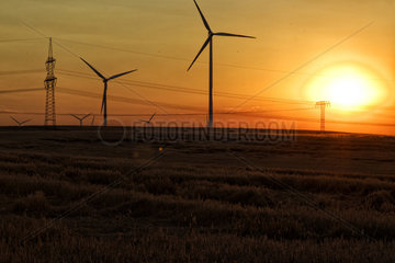 Windpark im Sonnenuntergang