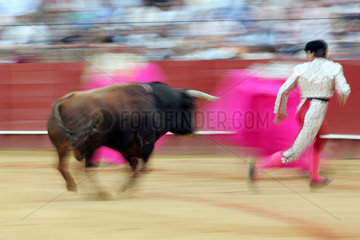 Sevilla  Spanien  ein Stierkampf
