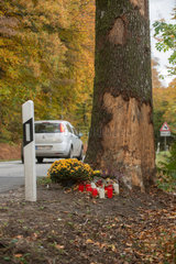 Hennstedt  Deutschland  Kollision eines Autos mit einem Baum