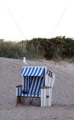 Sylt  Deutschland  Silbermoewe sitzt auf einem Strandkorb